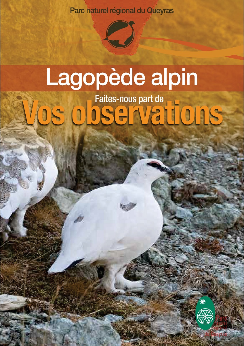 fiche-obs-Lagopede