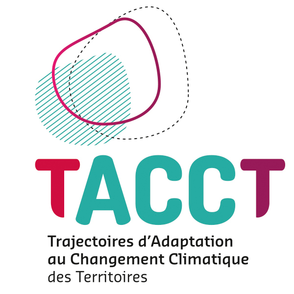 Logo TACCT couleur