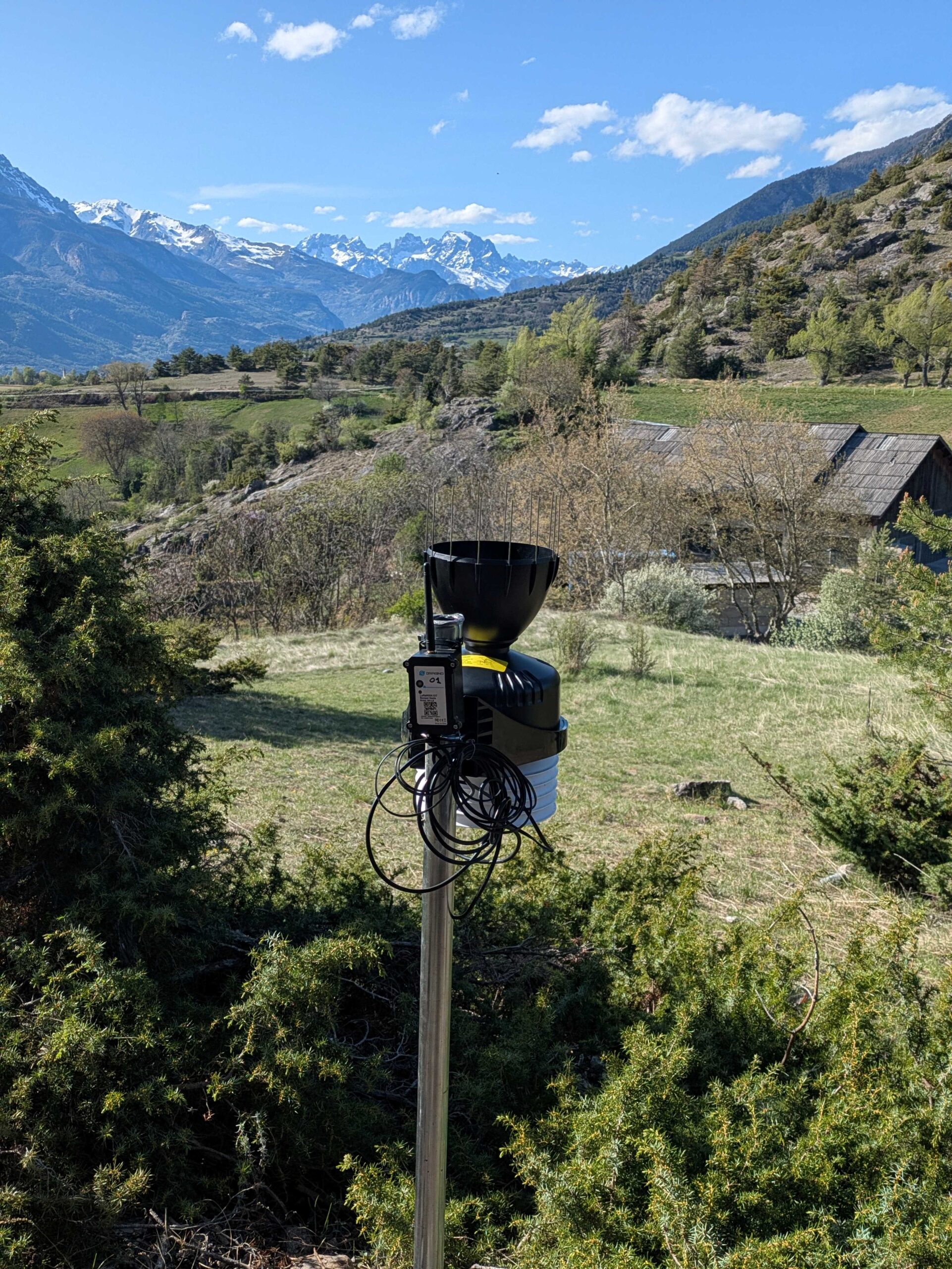 Le mélèze nous raconte