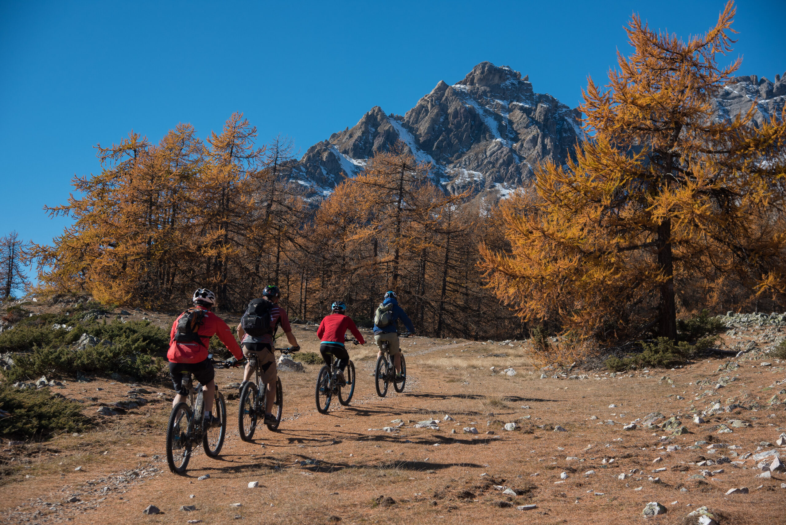Venir au Parc : accès et transports