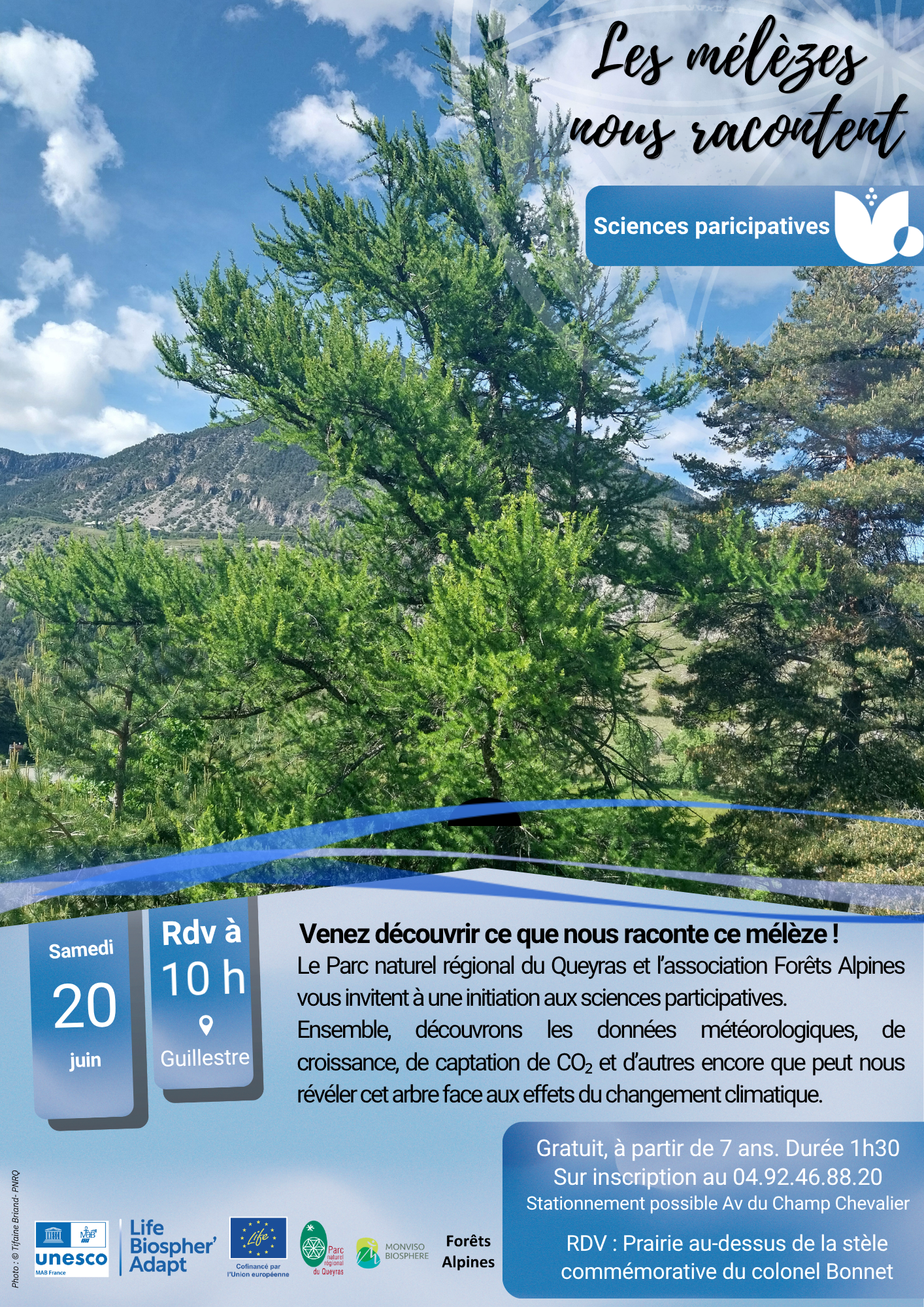 WP4 Animation 20260620-foret