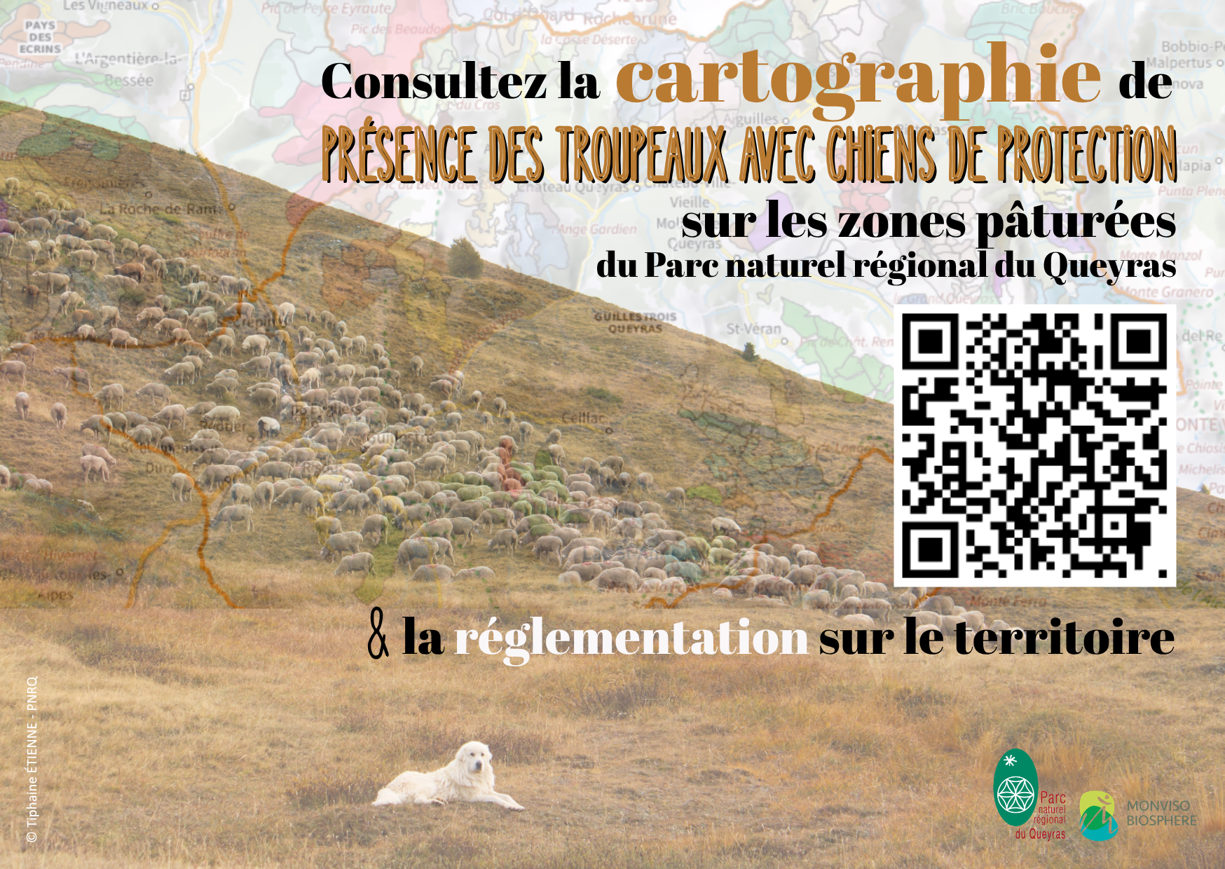 QR code cartographie troupeaux v2