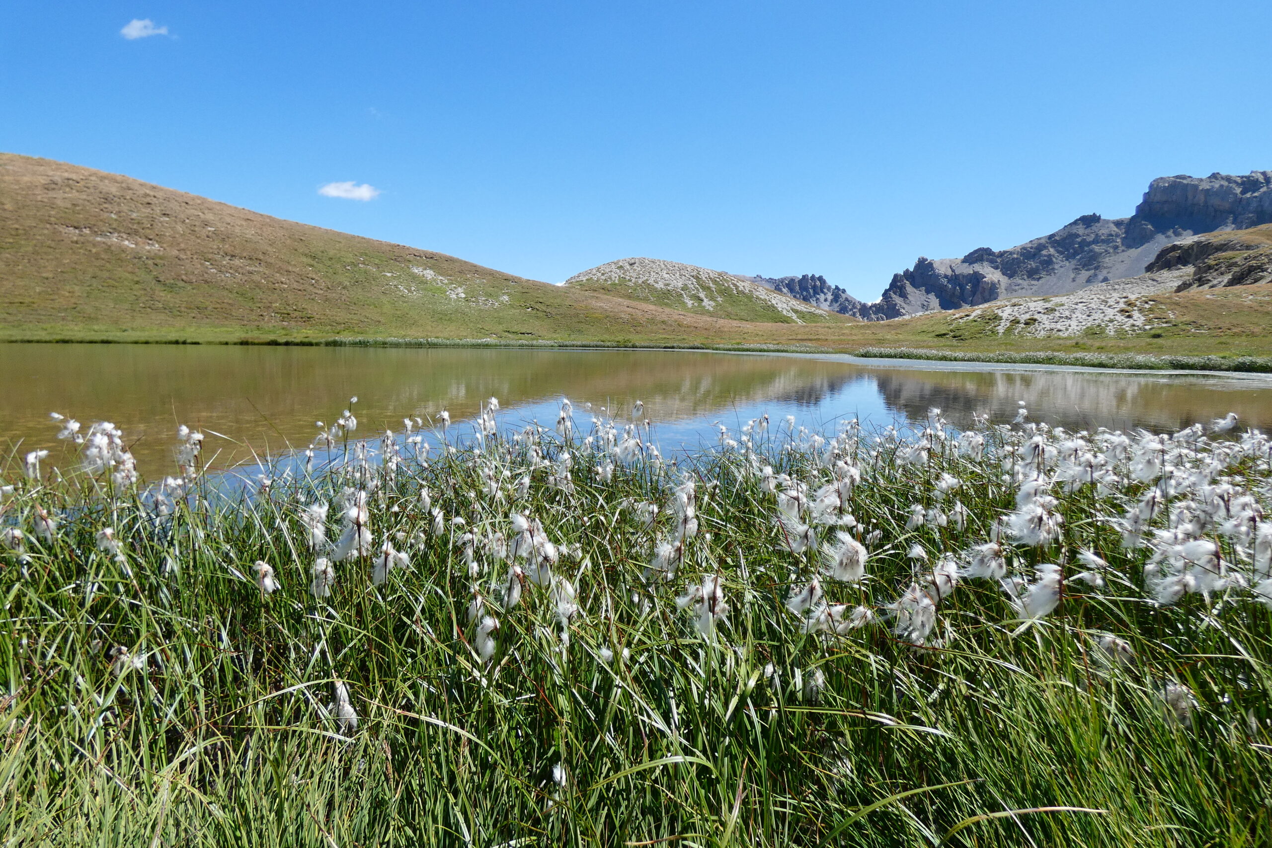 Le projet CIMaE : les mares d’altitude ont besoin de vous !
