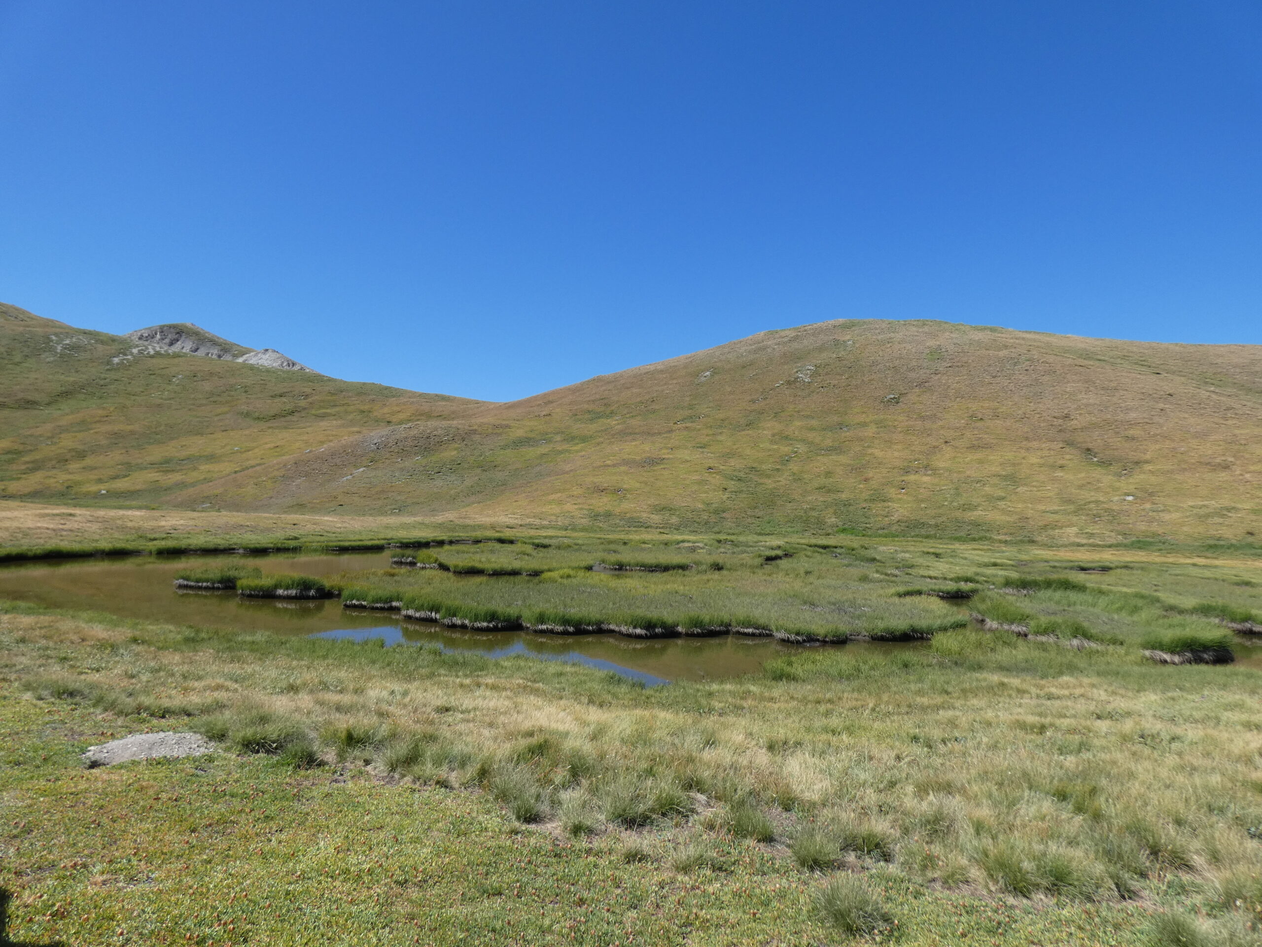 Le projet CIMaE : les mares d’altitude ont besoin de vous !