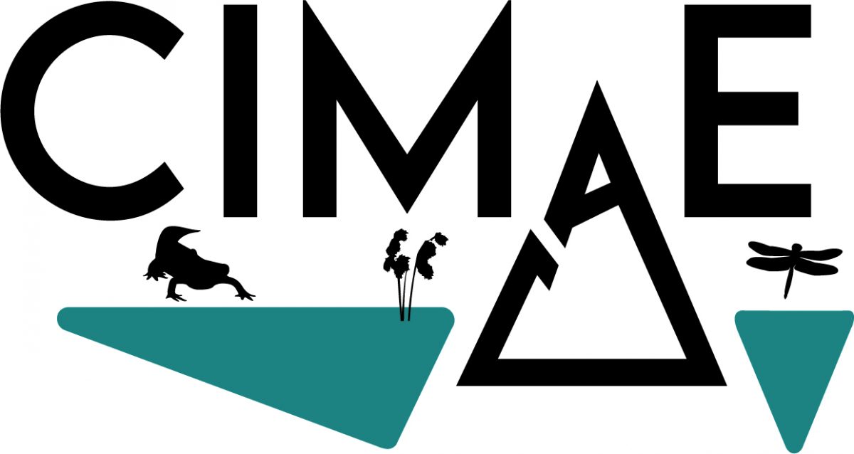 CIMaE_logo