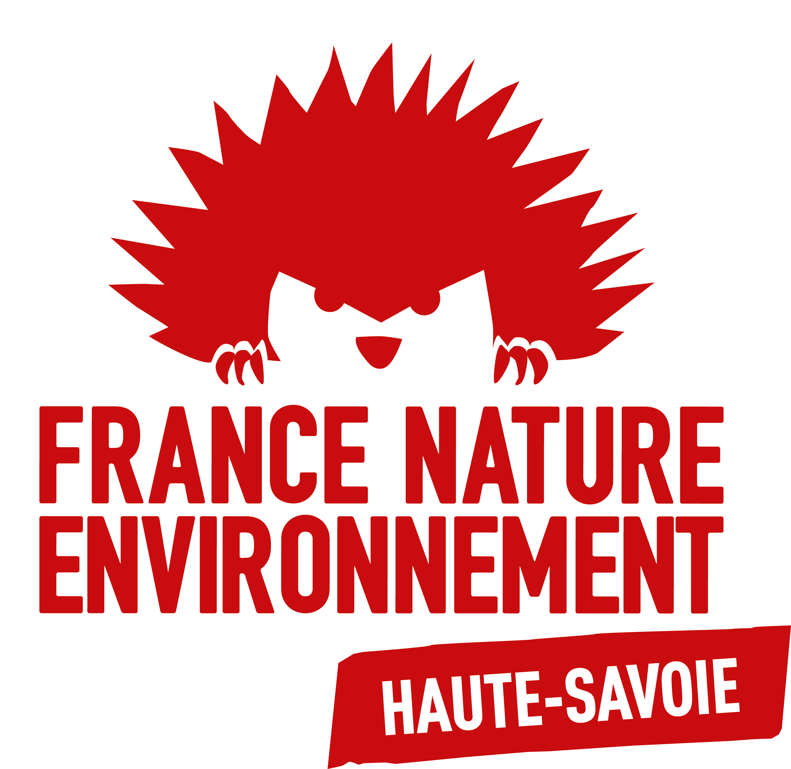 FNE_Haute_Savoie_logo